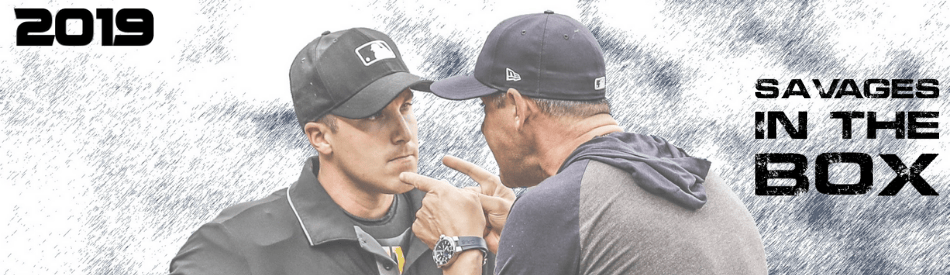 19baseballbanner