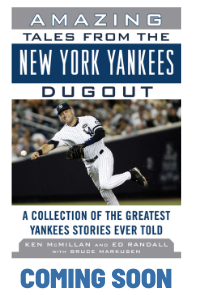 amazingdugouttalesyankeesbook